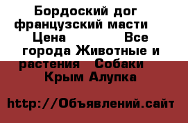 Бордоский дог ( французский масти)  › Цена ­ 50 000 - Все города Животные и растения » Собаки   . Крым,Алупка